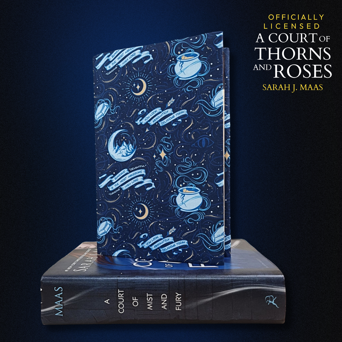 A Court of Thorns and Roses fabric dust jacket