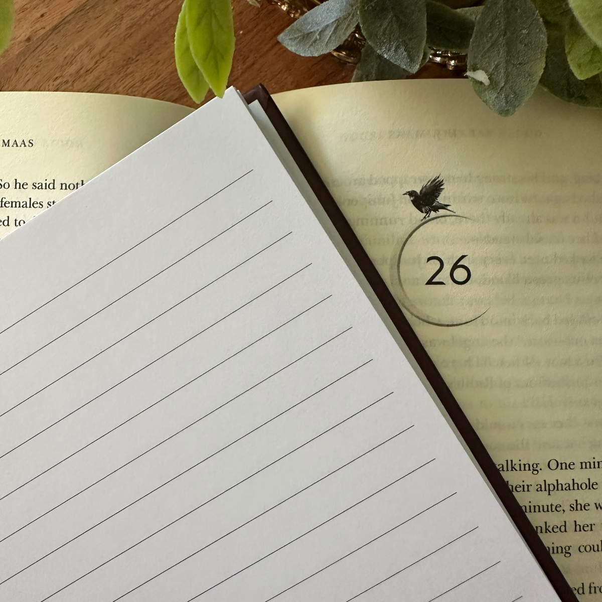 CRESCENT CITY OTTERS NOTEBOOK