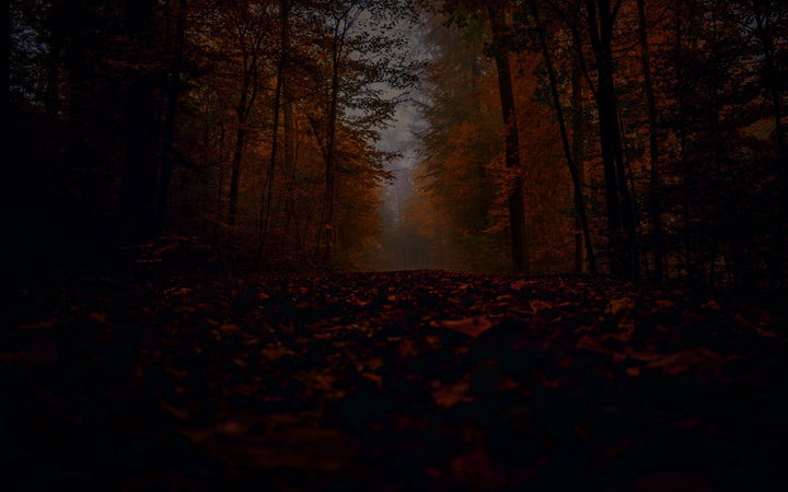 Autumn Court