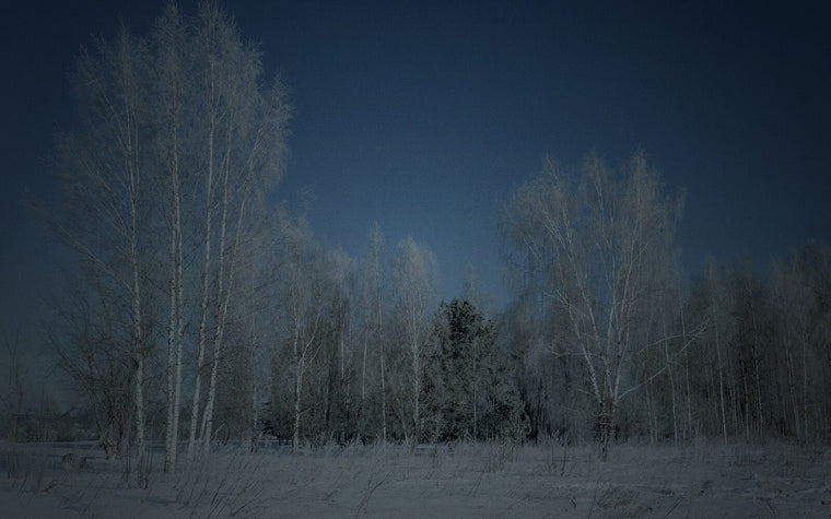 The Western Woods