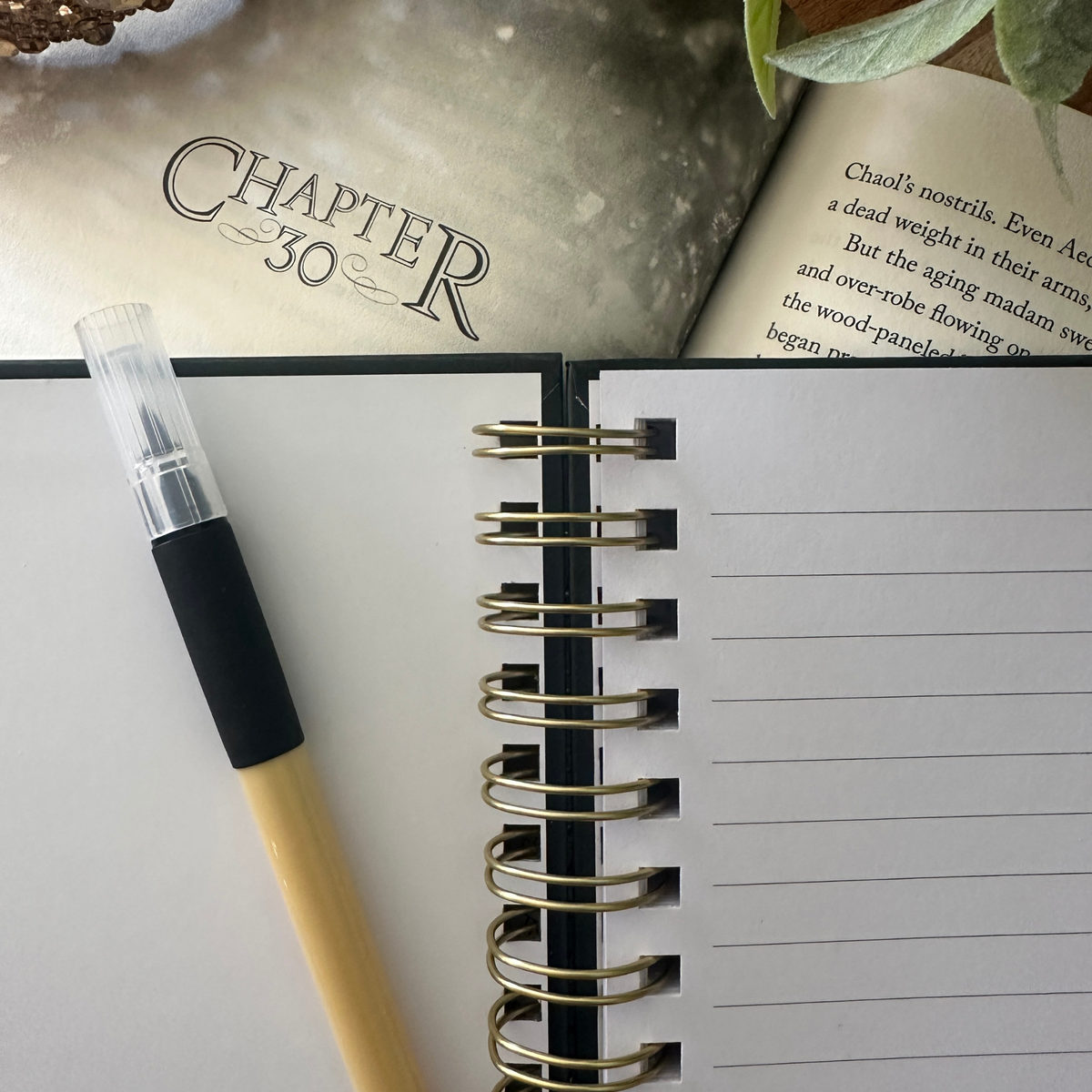 Maas Multiverse notebook styled — merch inspired by the worlds of Sarah J. Maas