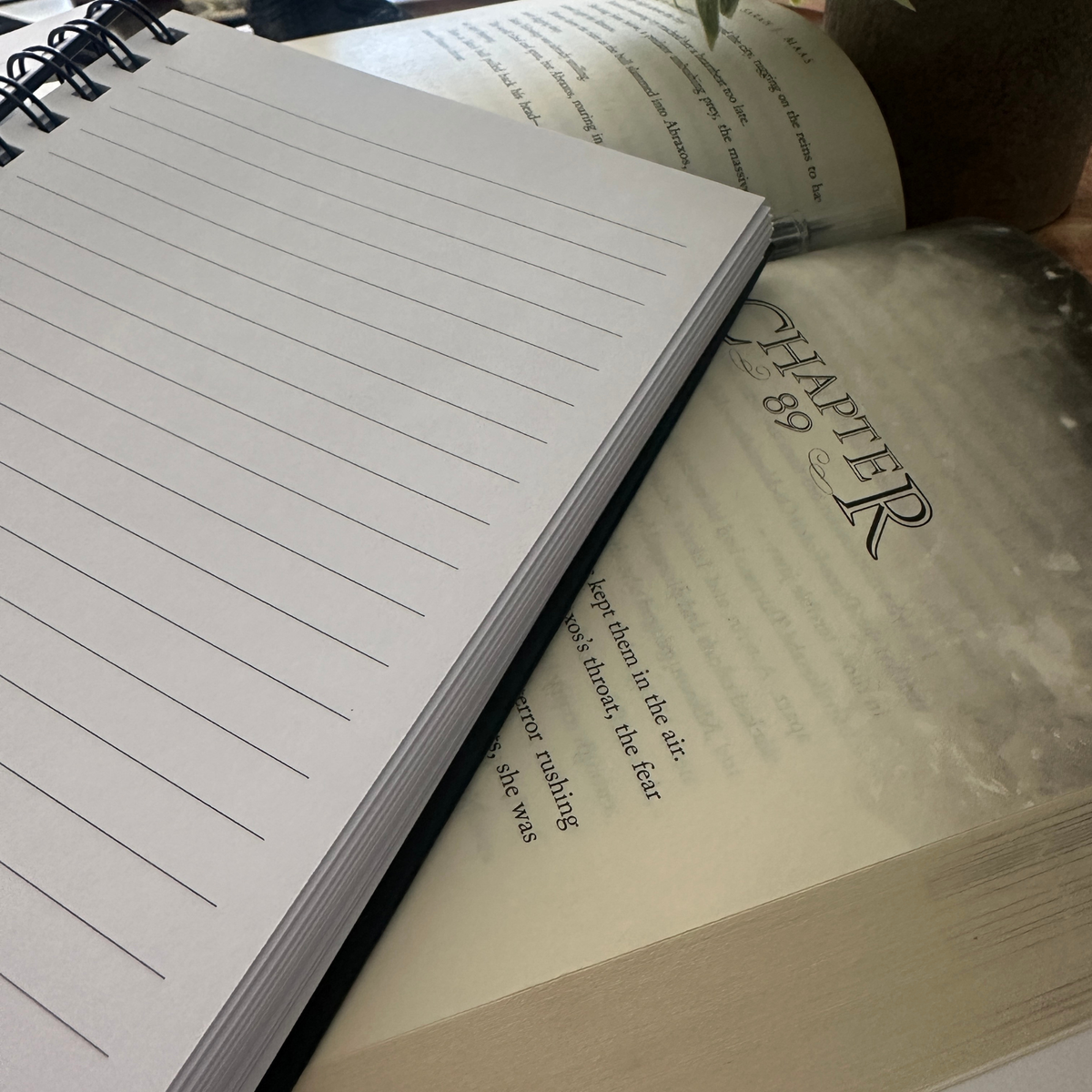 Manon Blackbeak notebook detail — Throne of Glass merch inspired by Sarah J. Maas