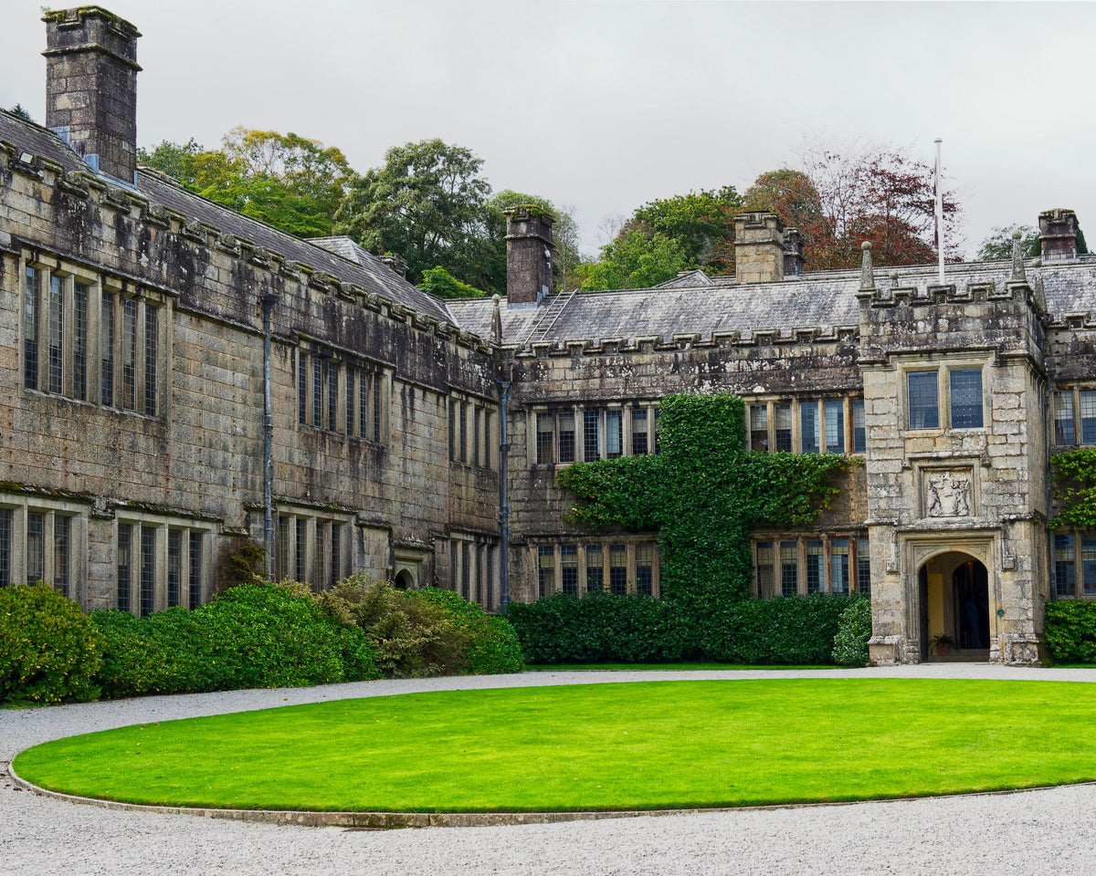 The Manor