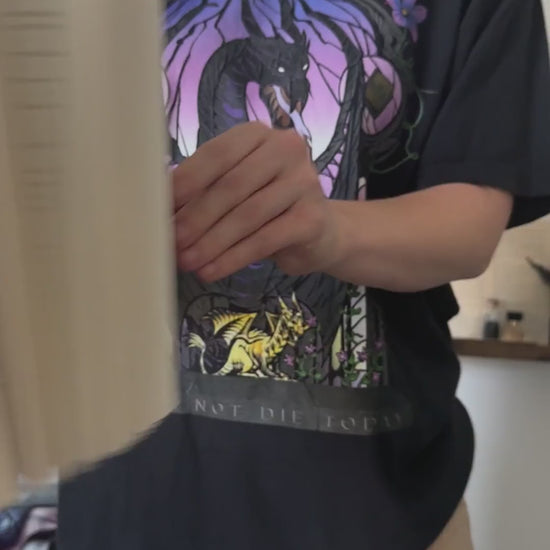 Try-on video: the black Violence t-shirt revealed from behind the Fourth Wing paperback — the stained-glass arch in purple and lilac with the dark winged dragon and the golden hatchling at its base [focal 50 35]