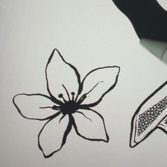 Behind the scenes: the five-petal line-art flower from the Juniper design being inked by hand, stamens drawn in, the Crescent City Ballet Company artwork taking shape [focal 50 55]