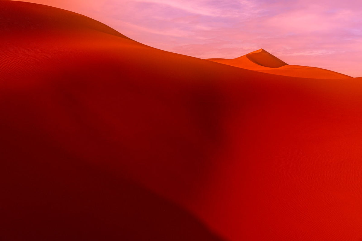The Red Desert